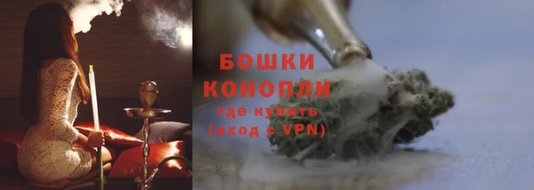 молекула духа Михайлов