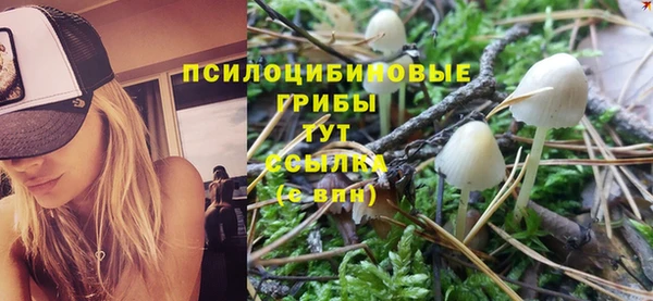 соль курить ск Анжеро-Судженск