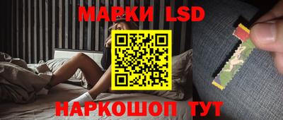 стафф Кандалакша