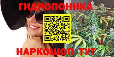 стафф Кандалакша
