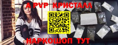 стафф Кандалакша