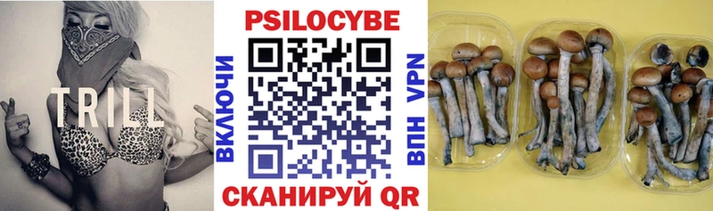 закладка  Тула  МЕГА ССЫЛКА  Псилоцибиновые грибы Psilocybine cubensis 