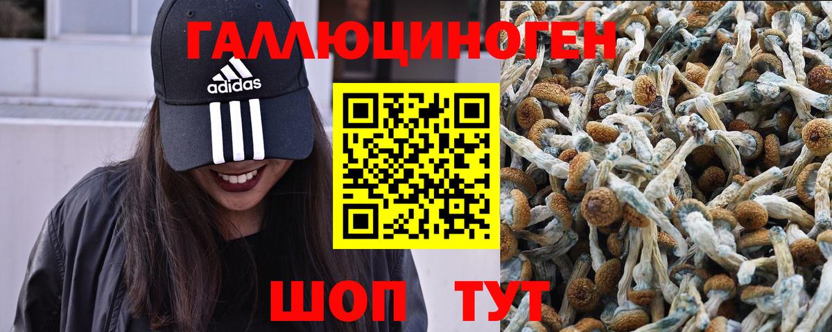 Тула  Галлюциногенные грибы Magic Shrooms  Вход с VPN  Псилоцибиновые грибы Magic Shrooms 